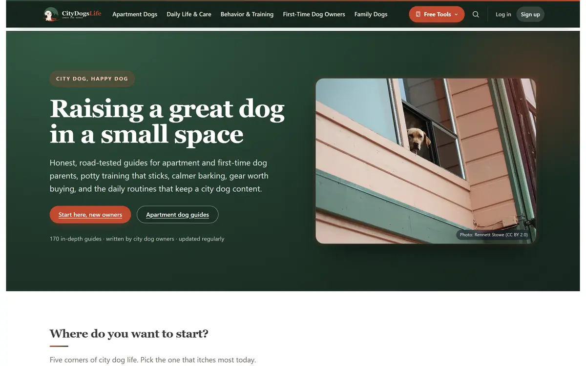 Accueil de CityDogsLife, notre média sur les chiens en ville